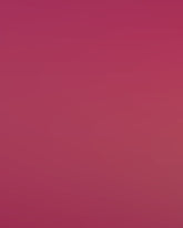 Aperturee - Rose Pink Solid Color Portrait Photo Booth Backdrop